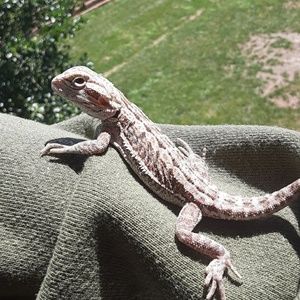 Meet your Posher, Shelby